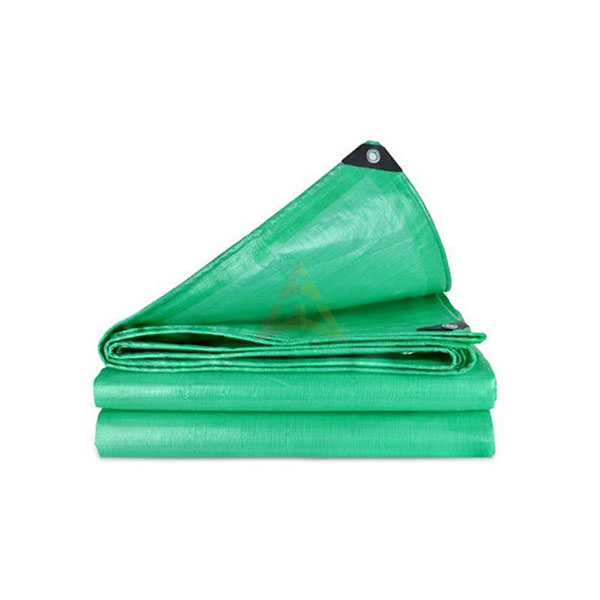 Tarp jeshil